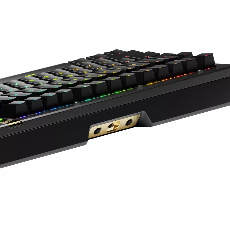 Mehāniska spēļu tastatūra GLORIOUS GMMK 3 PRO HE 75% Wireless RF + Bluetooth, RGB, US QWERTY, melna