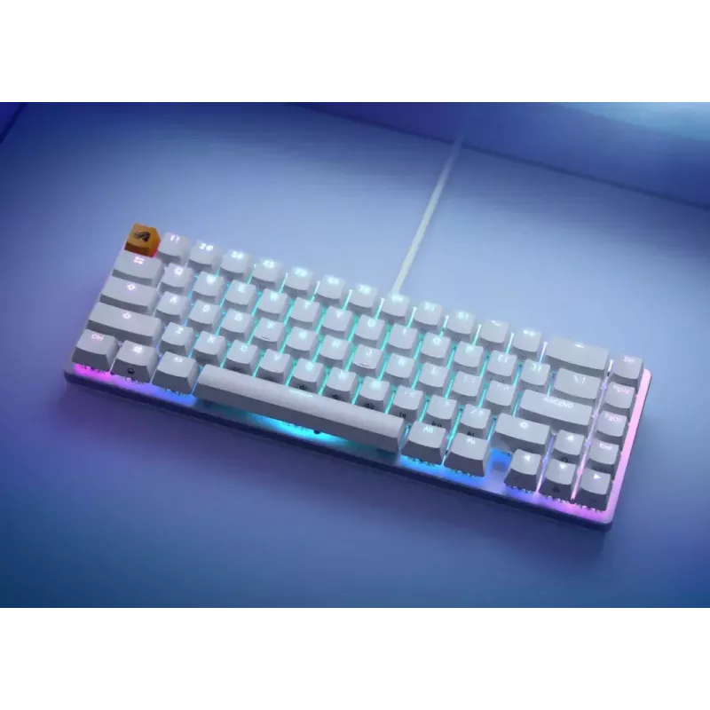 Glorious PC Gaming Race GMMK 2 65% mehāniskā RGB tastatūra, balta