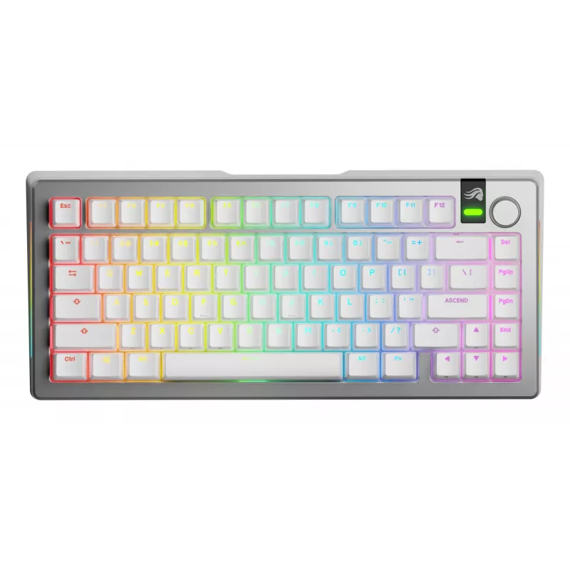 Mehāniskā tastatūra GLORIOUS GMMK 3 PRO 75% Prebuilt Wireless, USB + RF + Bluetooth, QWERTY, sudraba krāsā