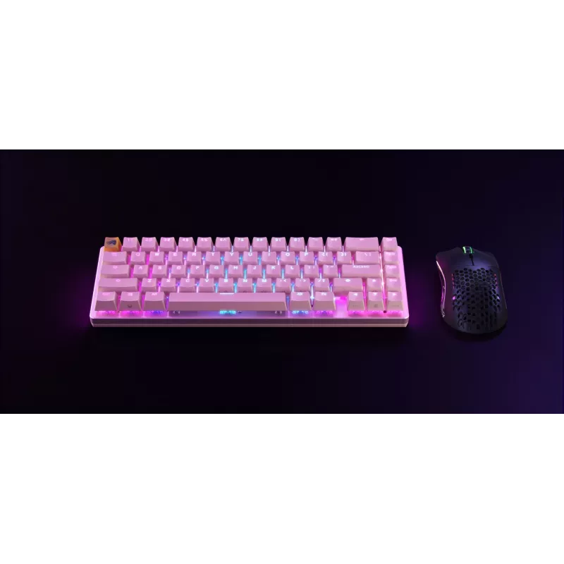 Glorious Gaming GMMK 2 tastatūra USB US International Rozā