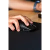 Glorious Gaming Glorious Model O 2 PRO Wireless - 4K/8K aptaujas frekvence - melns