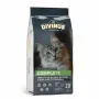 Sausā kaķu barība DIVINUS Cat Complete 20 kg — uzturs pieaugušiem kaķiem, vistas gaļa, 30% olbaltumvielu, 12% tauku