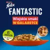 Mitrā kaķu barība Purina Nestlé PURINA Felix Countryside Selection multipaka 120×85 g maisiņi, pieaugušiem kaķiem, jauktas garšas, bez lipekļa