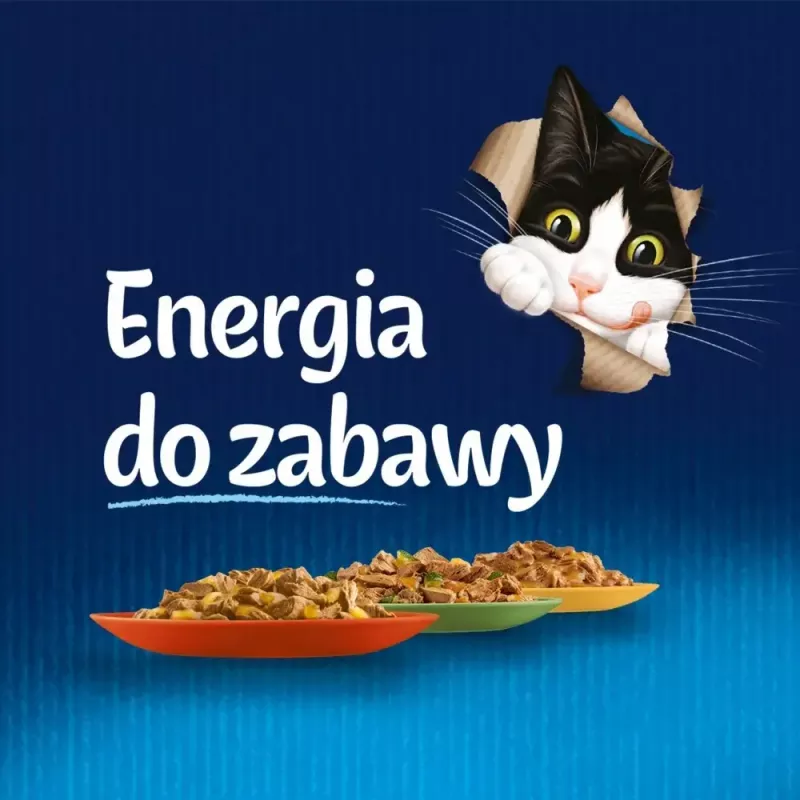 Mitrā kaķu barība Purina Nestlé PURINA Felix Countryside Selection multipaka 120×85 g maisiņi, pieaugušiem kaķiem, jauktas garšas, bez lipekļa