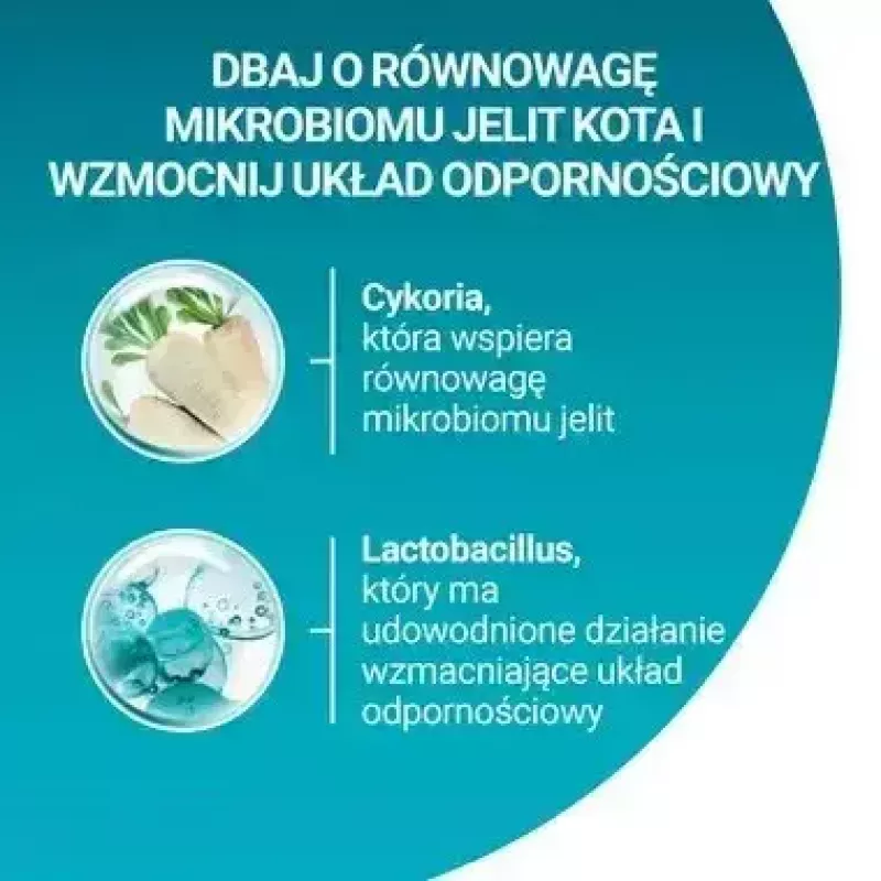Sausā kaķu barība Purina Nestlé One Sterilcat Beef 9,75 kg — pieaugušiem sterilizētiem kaķiem, 37% olbaltumvielu
