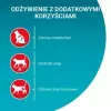 Sausā kaķu barība Purina Nestlé One Sterilcat Beef 9,75 kg — pieaugušiem sterilizētiem kaķiem, 37% olbaltumvielu