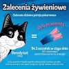 Mitrie kaķu gardumi Purina Felix Deli Moments lasis pasta 4 x 10 g tūbiņas