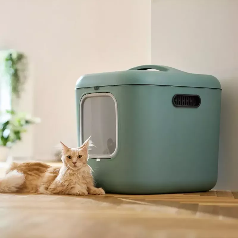 Kaķu tualete rotho Biala XL zaļa Easy Clean Design — liela plastmasas kaķu tualete, 499×576×614 mm, oglekļa filtrs, pakarināšanas caurums