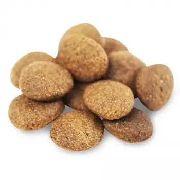 Sausā suņu barība FISH4DOGS Superior Senior Medium Salmon — 12 kg, bez graudiem, vidēja izmēra senioru suņiem