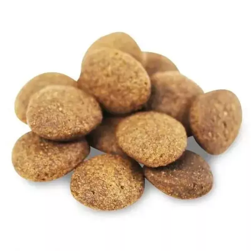 Sausā suņu barība FISH4DOGS Superior Senior Medium Salmon — 12 kg, bez graudiem, vidēja izmēra senioru suņiem