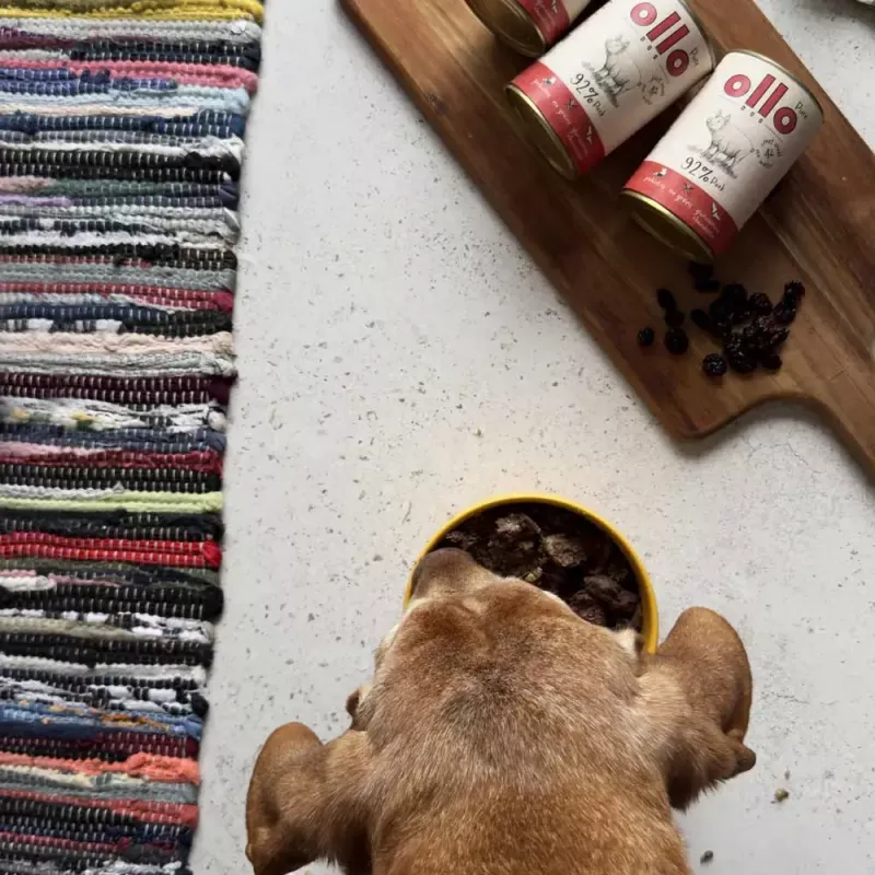 Mitrā suņu barība OLLO Pure Pork 850 g — pilnvērtīga pieaugušo suņu mitrā barība, monoproteinīns, 17% proteīna, 11,5% tauku, 63% mitruma