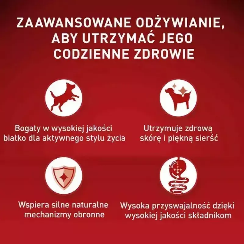 Mitrā suņu barība Purina Nestlé One Mini/Small Active Beef 85 g — mitrā barība pieaugušām mazo šķirņu suņiem, 76,4% mitrums, 12,5% olbaltumvielas
