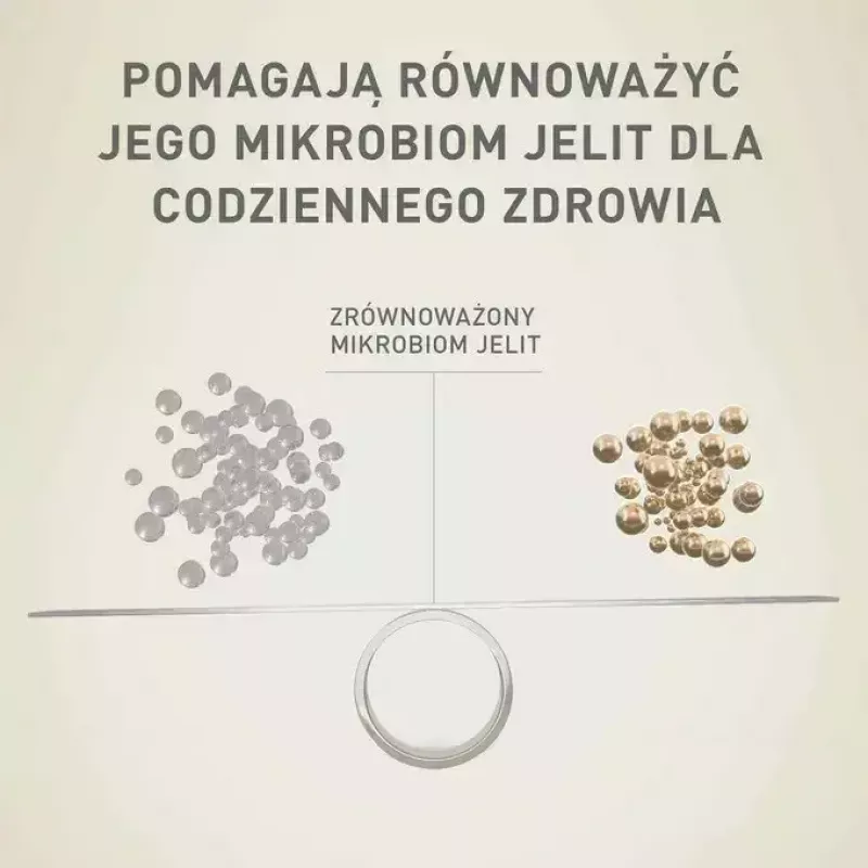 Mitrā suņu barība Purina Nestlé One Mini/Small Active Beef 85 g — mitrā barība pieaugušām mazo šķirņu suņiem, 76,4% mitrums, 12,5% olbaltumvielas