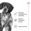 Sausā suņu barība Royal Canin Medium Adult — vista & cūkgaļa, 4 kg; olbaltumvielas 25%, tauki 14%