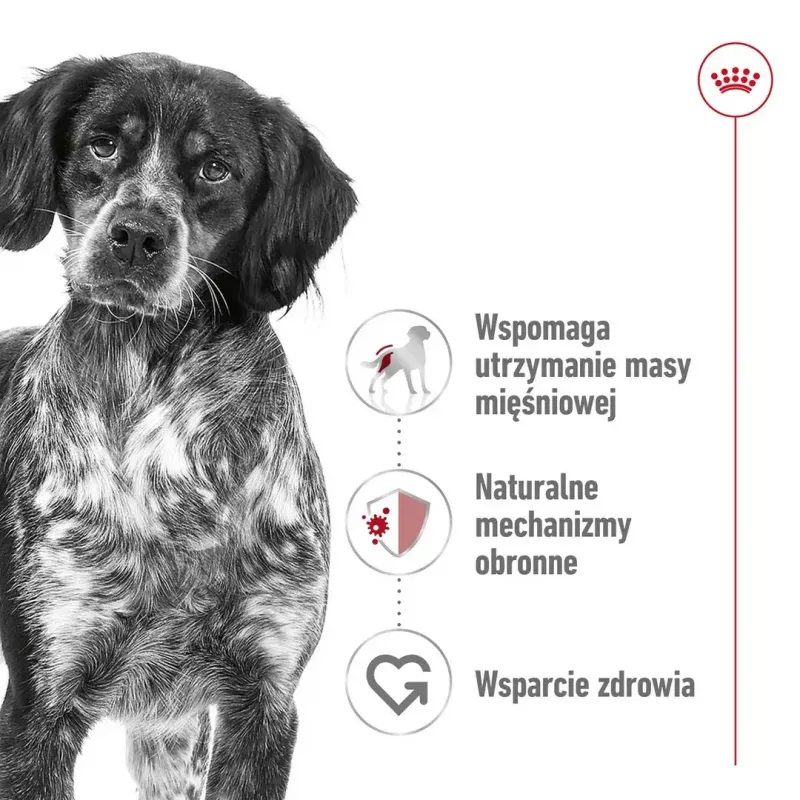 Sausā suņu barība Royal Canin Medium Adult — vista & cūkgaļa, 4 kg; olbaltumvielas 25%, tauki 14%