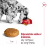 Sausā suņu barība Royal Canin Medium Adult — vista & cūkgaļa, 4 kg; olbaltumvielas 25%, tauki 14%