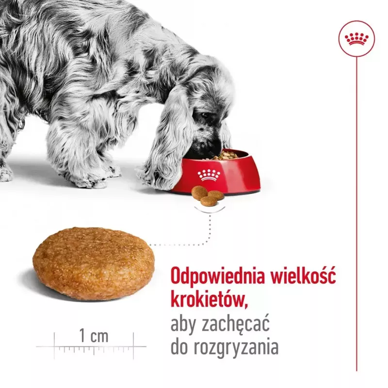 Sausā suņu barība Royal Canin Medium Adult — vista & cūkgaļa, 4 kg; olbaltumvielas 25%, tauki 14%