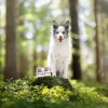 Mitrā suņu barība VETEXPERT RAW PALEO kucēniem Monoprotein Duck 400 g, mitrums 74,8%, olbaltumvielas 9,6%, tauki 10,6%