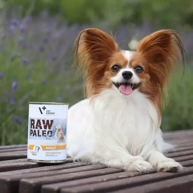 Mitrā suņu barība VETEXPERT RAW PALEO Adult Monoprotein Turkey 800 g bundžā, bez graudiem, bez lipekļa, pret pārtikas alerģijām