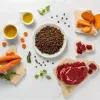 Sausā kucēnu barība VETEXPERT RAW PALEO Ultra Medium & Large Beef 2 kg — liellopu gaļa, olbaltumvielas 30,5%, tauki 16,5%