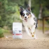 Sausā kucēnu barība VETEXPERT RAW PALEO Ultra Medium & Large Beef 2 kg — liellopu gaļa, olbaltumvielas 30,5%, tauki 16,5%