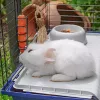 Būris FERPLAST Rabbit 120 Blue — metāla un plastmasas trušu būris 1180×585×495 mm, trušiem 5–9,9 kg