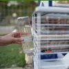 Būris FERPLAST Barn 80 Trusis Pelēks Balts — 780×480×650 mm, metāls un plastmasa, ietver bļodu