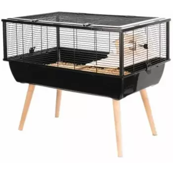 Grauzēju būris ZOLUX Neo Nigha mazs H36 melns, koks, W780×D360×H480 mm, komplektā skriešanas ritenis