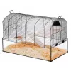 Būris ZOLUX NeoPanas XL stikla būris grauzējiem, melns, izmēri 710×410×490 mm, stikla paplātes augstums 180 mm, ietver 2 plauktus, 2 platformas, bļodu, mājiņu, riteni