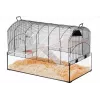 Būris ZOLUX NeoPanas XL stikla būris grauzējiem, melns, izmēri 710×410×490 mm, stikla paplātes augstums 180 mm, ietver 2 plauktus, 2 platformas, bļodu, mājiņu, riteni