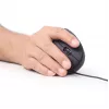 GEMBIRD optiskā pele MUS-ERGO-01 - ergonomiska 6 pogu, ritenītis, USB, melna