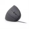 GEMBIRD optiskā pele MUS-ERGO-01 - ergonomiska 6 pogu, ritenītis, USB, melna
