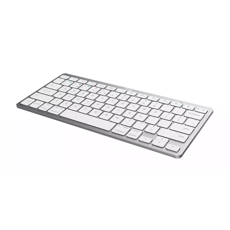 Trust 24651 bezvadu QWERTY US English klaviatūra, sudraba