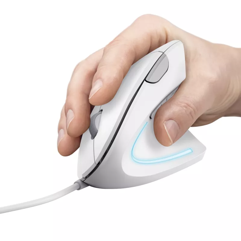 Trust Verto pele Birojs Labrocis USB Type-A Optiskais 1600 DPI