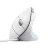 Trust Verto pele Birojs Labrocis USB Type-A Optiskais 1600 DPI