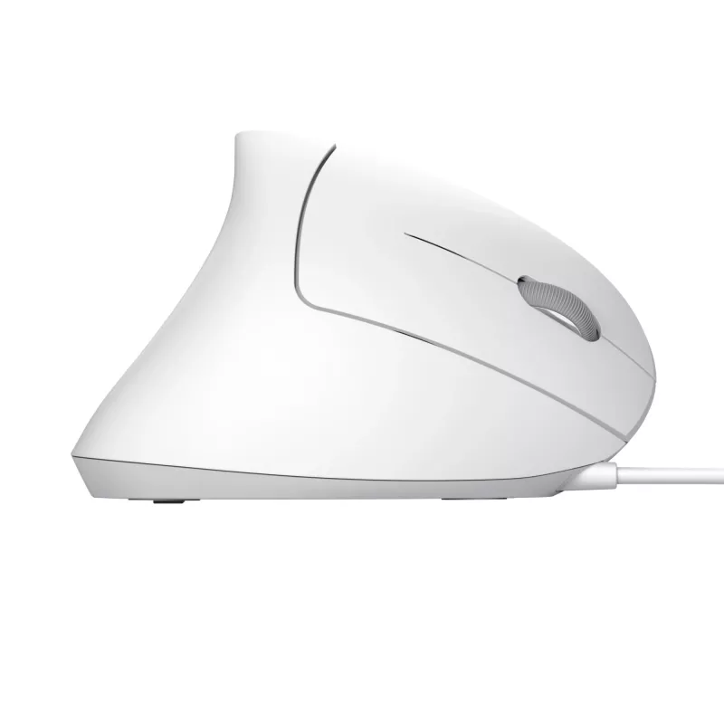 Trust Verto pele Birojs Labrocis USB Type-A Optiskais 1600 DPI