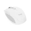 Trust Ozaa pele Birojs Labās rokas RF Wireless + Bluetooth Optiskā 3200 DPI