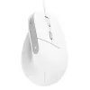 Trust Bayo II pele Birojs Labroku USB Type-A Optiskā 2400 DPI