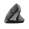 Trust Bayo+ pele Biroja Labās rokas RF bezvadu + Bluetooth Optiskā 2400 DPI