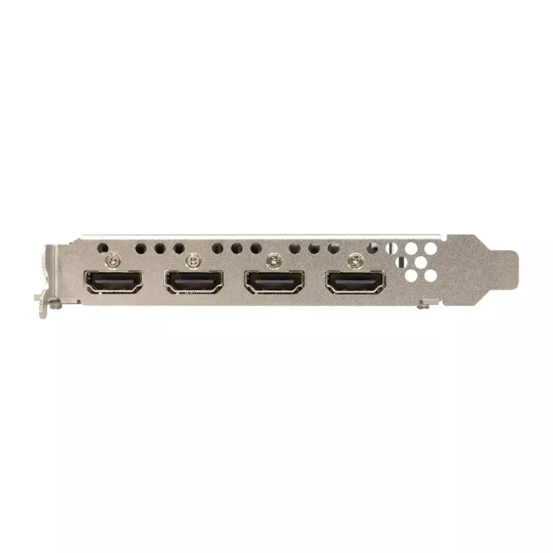Grafikas karte Sparkle Intel Arc A310 OMNI View — 4 GB GDDR6, 2000 MHz, PCIe 4.0 x8
