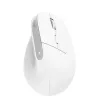 Trust Bayo+ pele Birojs Labroku RF bezvadu + Bluetooth Optiskā 2400 DPI
