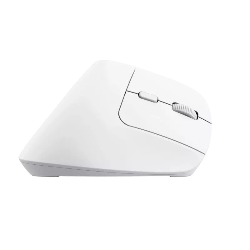 Trust Bayo+ pele Birojs Labroku RF bezvadu + Bluetooth Optiskā 2400 DPI