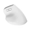 Trust Bayo+ pele Birojs Labroku RF bezvadu + Bluetooth Optiskā 2400 DPI