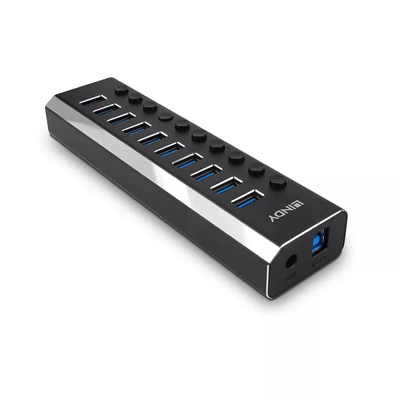 Lindy 10 portu USB 3.0 centrālmezgls ar ieslēgšanas/izslēgšanas slēdžiem