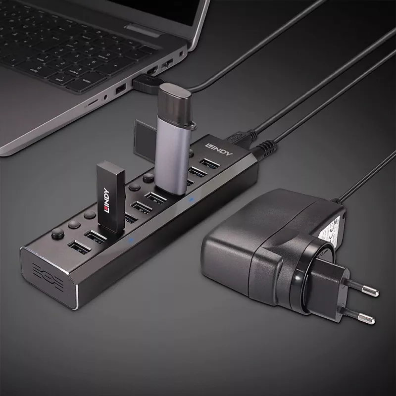 Lindy 10 portu USB 3.0 centrālmezgls ar ieslēgšanas/izslēgšanas slēdžiem