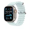 APPLE 49mm Ice Zils Ocean Band pagarinājums - dabīga titāna apdare
