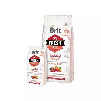 Brit Fresh Beef with Pumpkin Puppy Large Bones & Joints suņu barība
