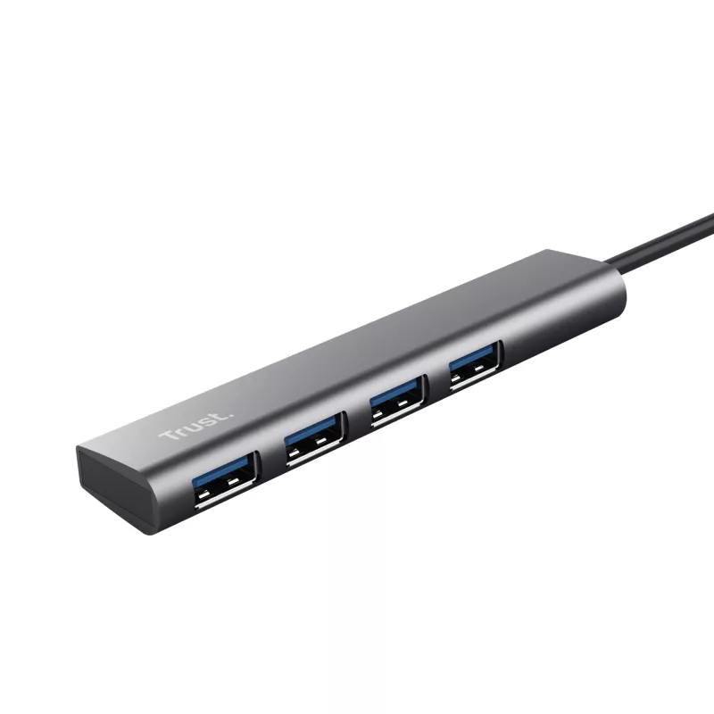 Trust Halyx USB 3.2 Gen 1 (3.1 Gen 1) Type-A 5 Mbit/s pelēks