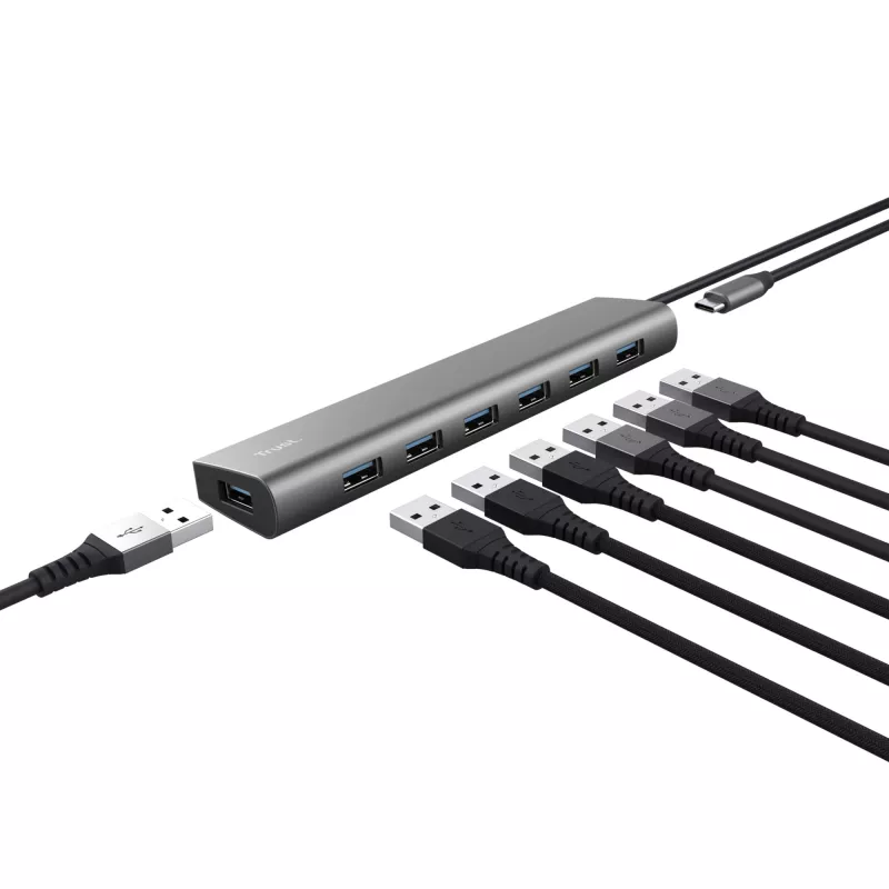 Trust Halyx USB 3.2 Gen 1 (3.1 Gen 1) Type-A 5000 Mbit/s Sudrabains