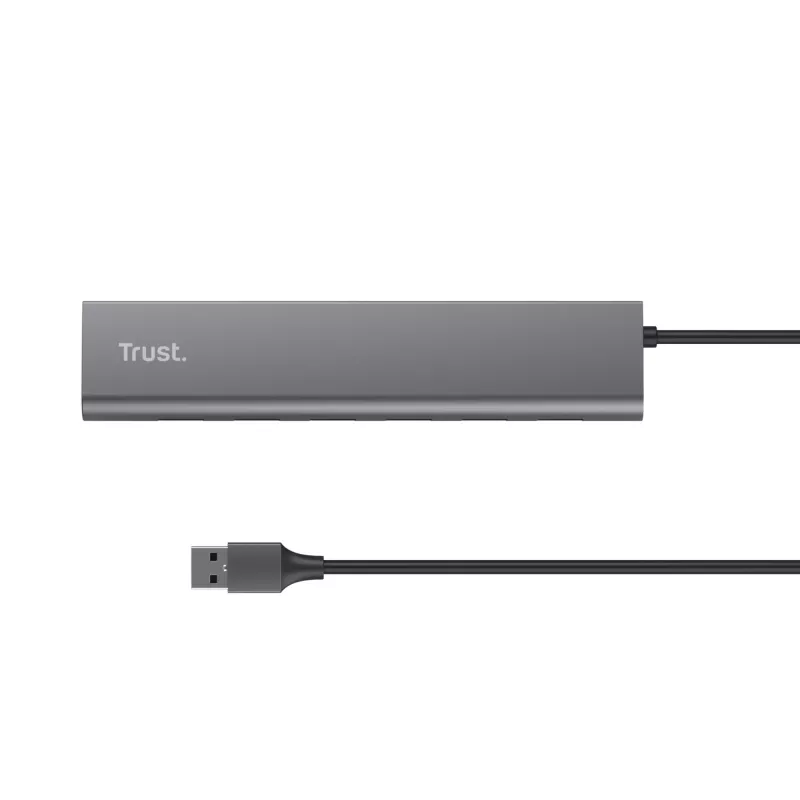 Trust Halyx USB 3.2 Gen 1 (3.1 Gen 1) Type-A 5000 Mbit/s Sudrabains